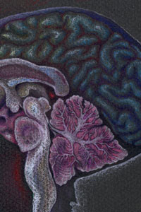 drawing (detail)